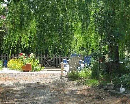 Chez Saule * Palaja