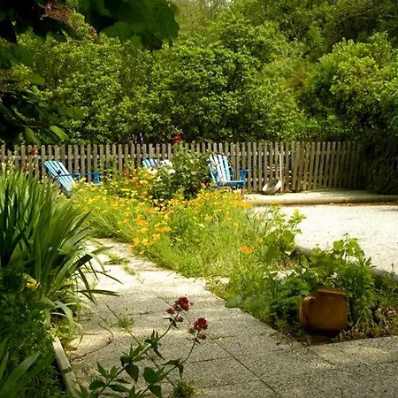 Chez Saule *